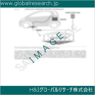 グローバルリサーチ調査資料のイメージ